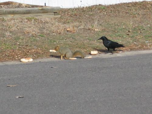 Sneaky - DO you think I don't know you're behind me?