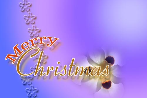 Marry Chrismas - Has fiends Marry chrisms to you .  Convey my regards to all your family members. Thanks
