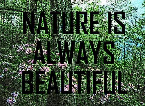 Nature it is always beautiful - It is created by god, not artifical.