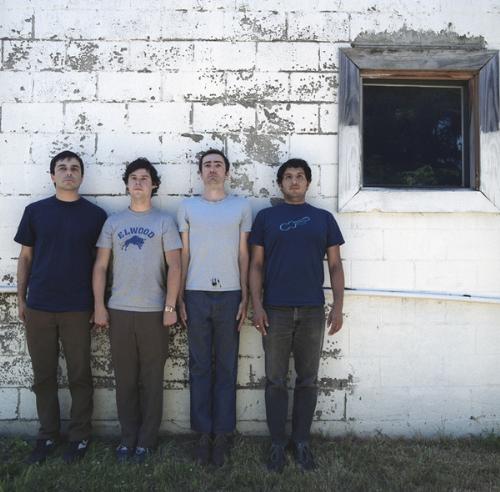 the shins - the shins