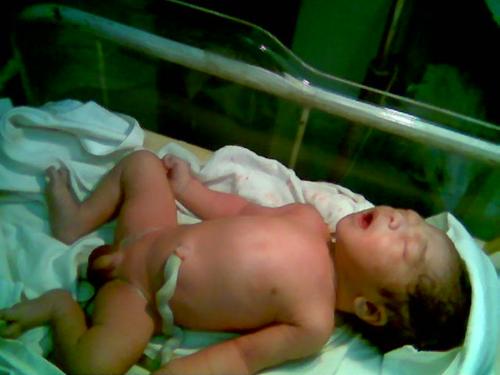 newborn - newborn is a newborn