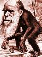 missing link - evolution of man by charles darwin. do you think he is the missing link