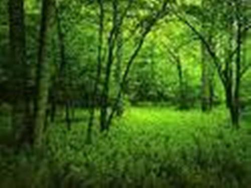www.mmrriad.com - www.mmrriad.com