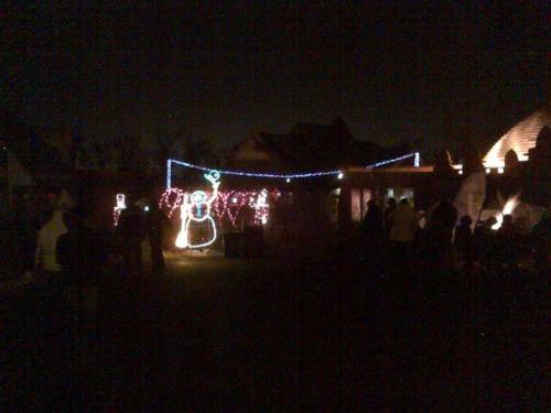 Calgary Christmas Zoolight - One of the photo of Christmas lighting at the Calgary Zoo.