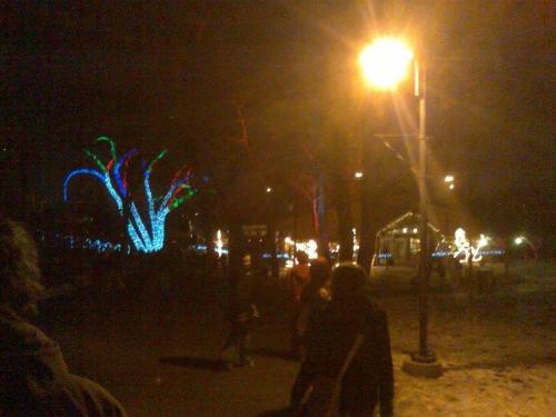 Calgary Christmas Zoolight 2 - Not gonna lie, this is one of the pic for christmas light at the calgary zoo