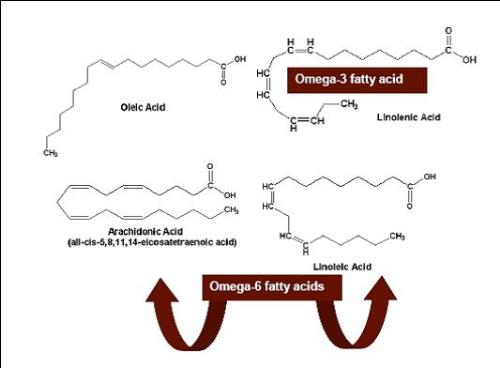 omega-3 and 6 fatty acids - omega-3 and 6 fatty acids
