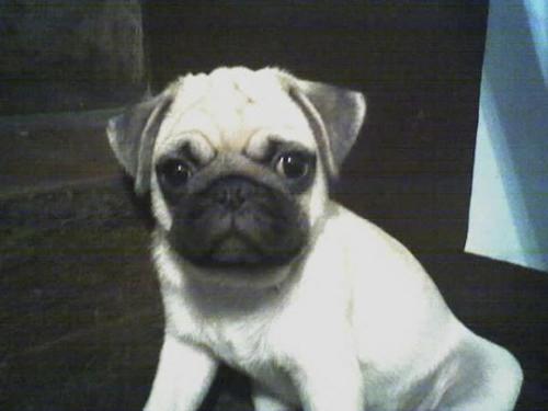 max mah dawg!!! - he's the best!!!