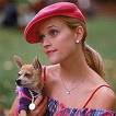 Legally Blonde - Legally Blonde