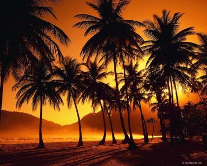 Tropical Sunset - Don't you think this photo is lovely:P? I think so.