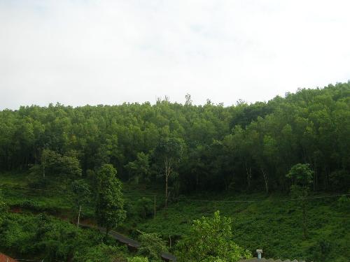 Alike - A unknown remote village in manglore