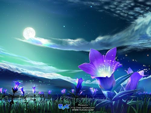 starry night - do you like?