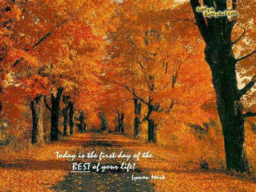 life - self