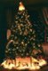 merry christmas - christmas tree