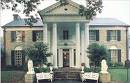 Graceland - Graceland