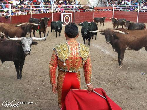 Bull Fighting - I want to master this sport