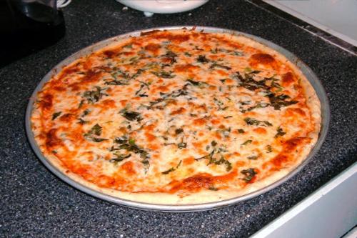 Here is a pizza - Here is the pizza.....so the ppl who dont know wat a pizza is will know by seeing this......hehehehe...... Here is a pizza - Here is the pizza.....so the ppl who dont know wat a pizza is will know by seeing this......hehehehe......