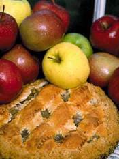 Apple Recipes - Apple Recipes