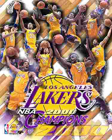 The Lakers - Here is the pic of my favourite basket ball team.....the Los Angeles Lakers