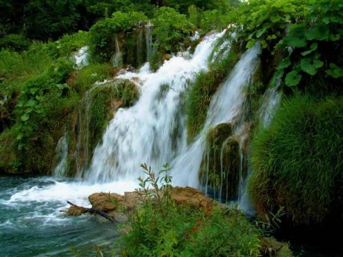 waterfalls - photos of the cherrapunji waterfalls in india