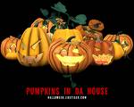 halloween - halloween