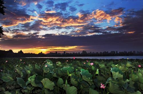 west lake of Hangzhou - a beautiful lake