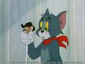 tom and jerry - tom