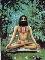 Tapas (the long concentration on the Power,God) - The phase in a Sanyasi's life. The total sacrifice of materialistic life and praying with total concentration on Almighty.