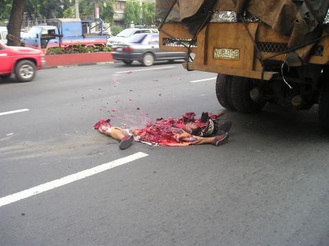 road kill - Beware!!!! road kill - Beware!!!!