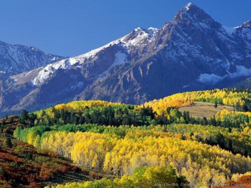 big garden ! - look tat beautiful yellow