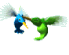 birds - humming bird