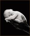 Anne Geddes work - baby in flower - Baby in flower by Anne Geddes