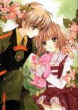 sakura and syaoran - i love this couple so much