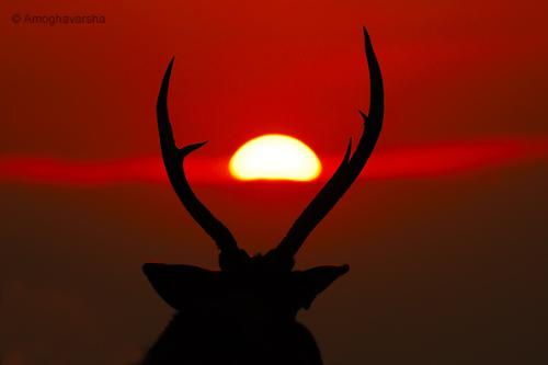 Sunset - Sunset in between