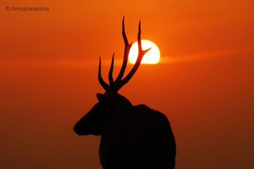 Sunset - Another view