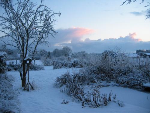 Coldmind - A photo with snow and cold, likes making you so cold.