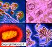 Virus - Images of virus