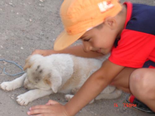 my brother - she loves dogs very much