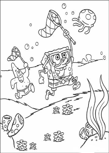 spongebob squarepants - spongebob squarepants