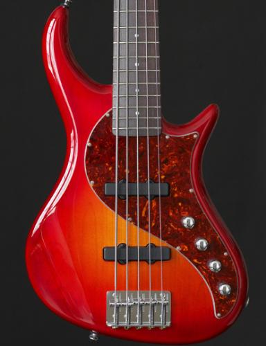 my bass - definatly the best present I ever got...Pedulla Rapture 5-string.