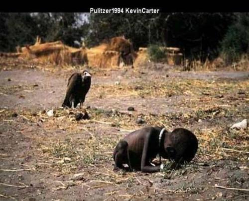 Sudan Famine - A child and a vulture in sudan.