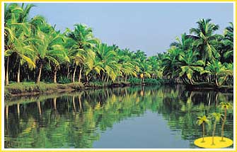 thiruvananthapuram - thiruvananthapuram back waters