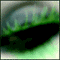 my eyes - eyes