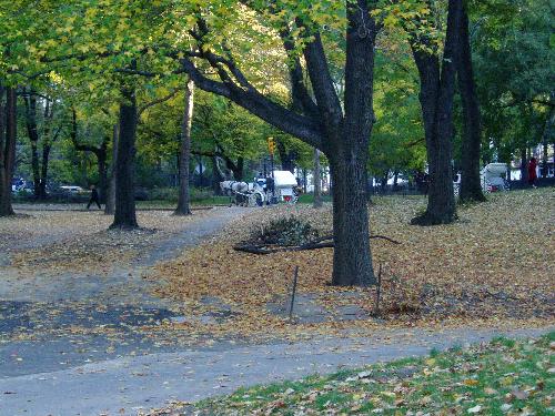 Central Park - Fall in Central Park, NYC.