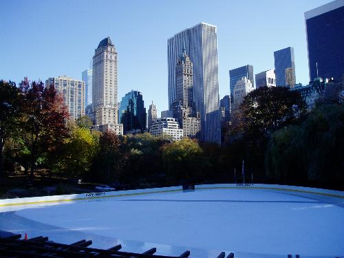 Ice Rink Central Park - Early winter in central park.