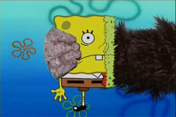 spongebob squarepants - spongebob squarepants