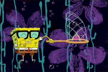 spongebob squarepants - spongebob squarepants