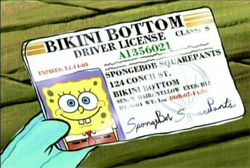spongebob squarepants - spongebob squarepants