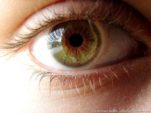 eye - green eye color.....