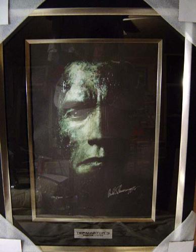 the terminator - the terminator