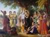 krishna - lord krishna